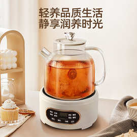 荣事达煮茶器 一杯好茶，从电动煮茶开始